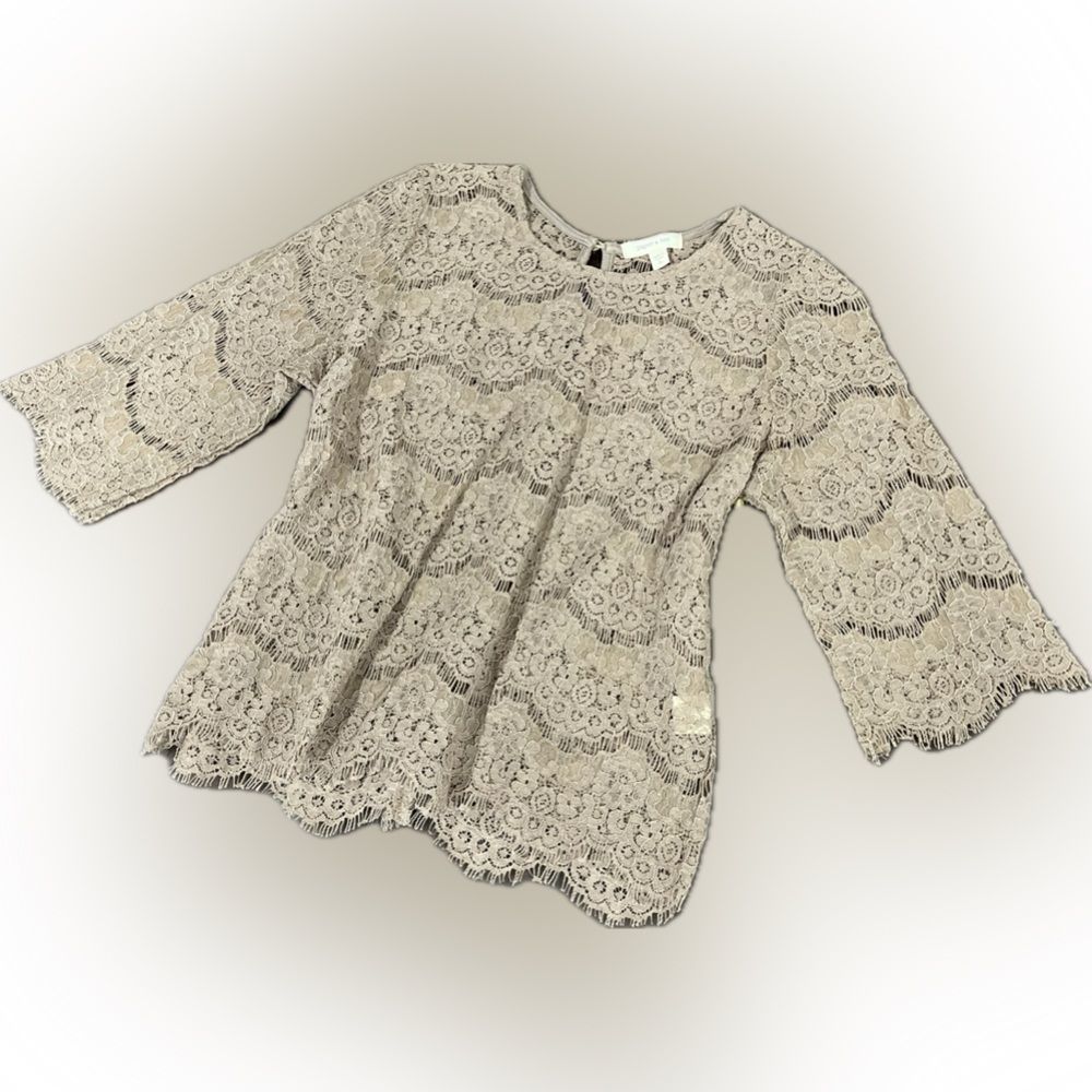 Paper + Tee NWT Neutral Sheer Lace/Eyelet Blouse